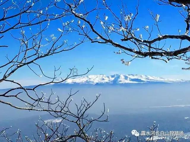 老爹寿司店中文版