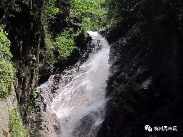 逃出奶油苹果屋