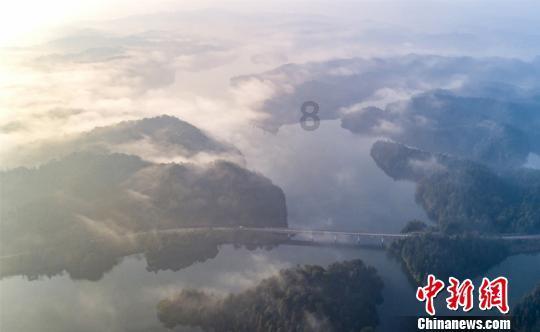 拯救可爱袋鼠